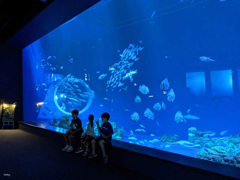 DMM Kariyushi Aquarium Tickets in Okinawa, Japan | Receive an Ice Cream Voucher
