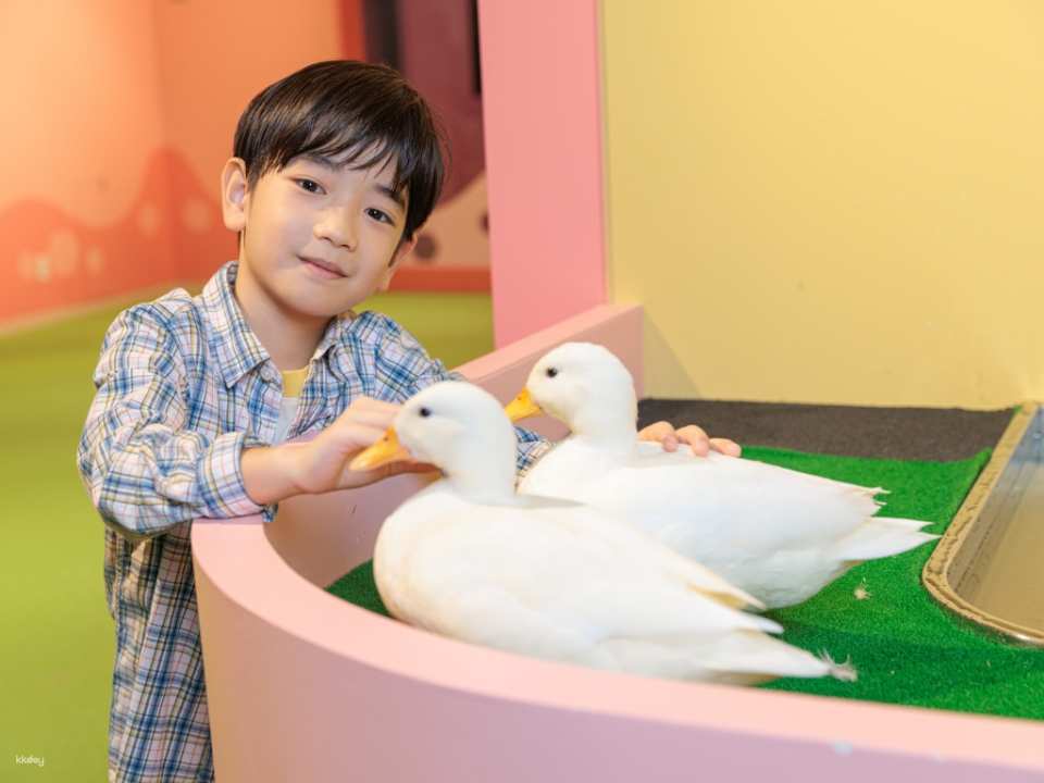 DMM Kariyushi Aquarium Tickets in Okinawa, Japan | Receive an Ice Cream Voucher