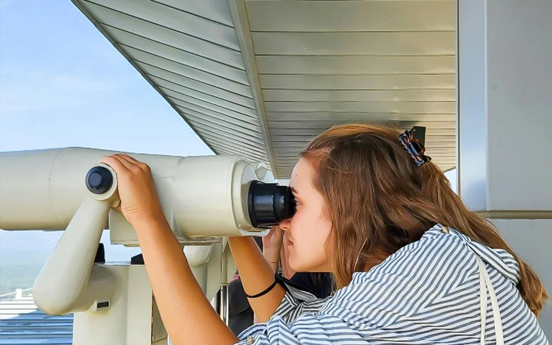 DMZ Half-Day Tour to Third Tunnel, Dora Observatory, Imjingak Park & More Image 3