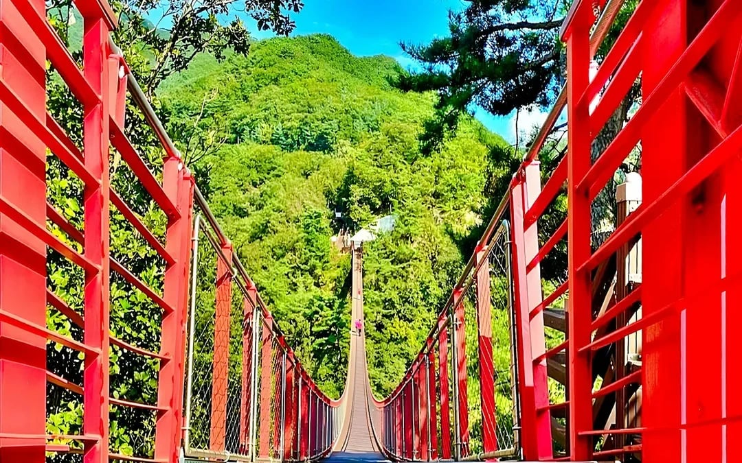 DMZ Tour: North Korea Experience Hall & Suspension Bridge Image 7