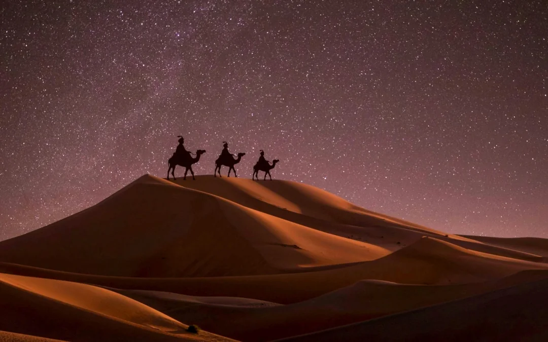 Doha Night Desert Safari with Stargazing, Sandboarding, Dune Bashing and Inland Sea Visit Image 2