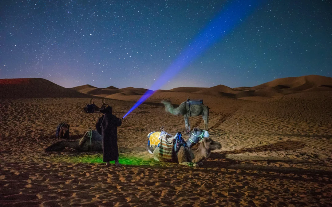 Doha Night Desert Safari with Stargazing, Sandboarding, Dune Bashing and Inland Sea Visit Image 3