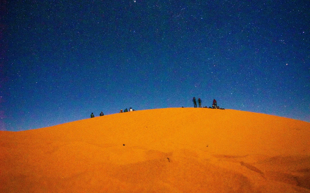 Doha Night Desert Safari with Stargazing, Sandboarding, Dune Bashing and Inland Sea Visit Image 4
