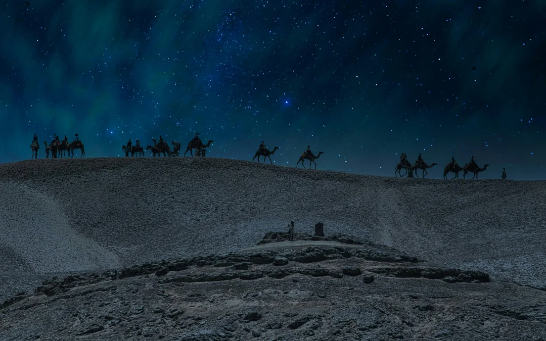 Doha Night Desert Safari with Stargazing, Sandboarding, Dune Bashing and Inland Sea Visit Image 5