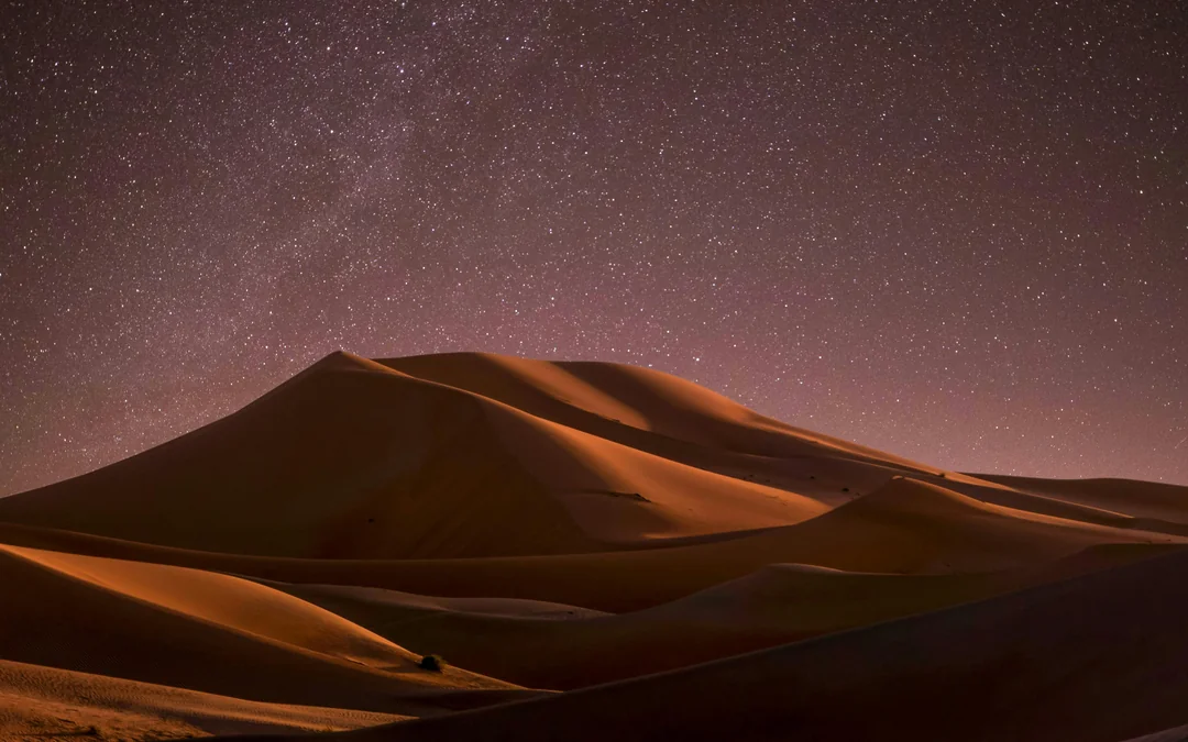 Doha Night Desert Safari with Stargazing, Sandboarding, Dune Bashing and Inland Sea Visit Image 6