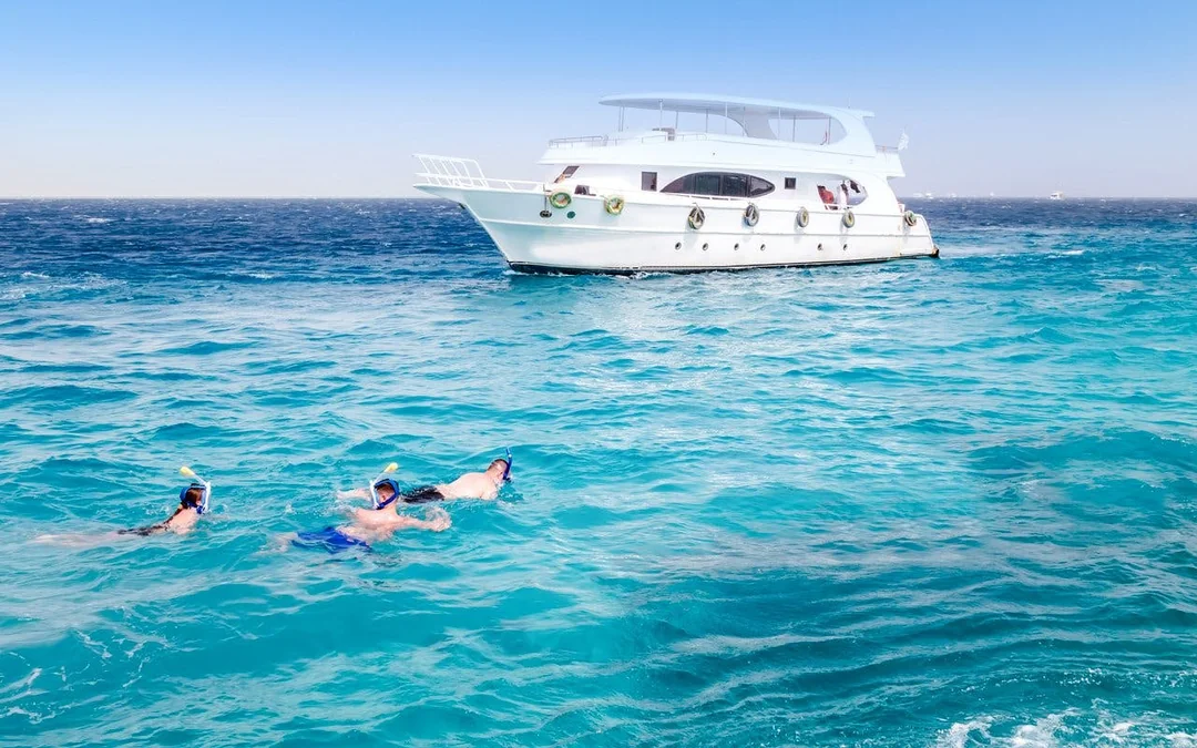 Dolphin House: Dolphin Watching Boat Tour with Snorkeling, Lunch & Optional Transfers Image 1