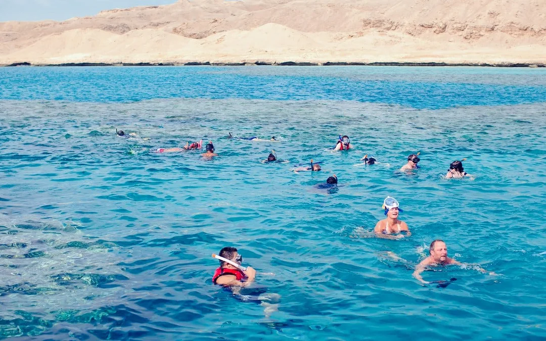 Dolphin House: Dolphin Watching Boat Tour with Snorkeling, Lunch & Optional Transfers Image 4
