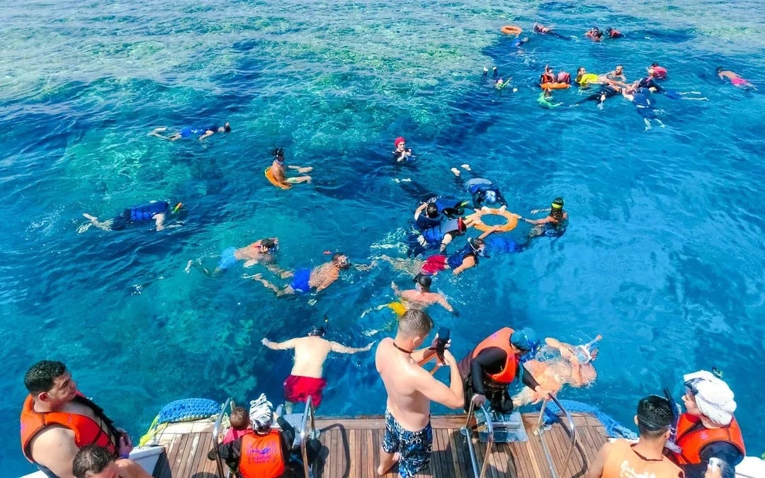 Dolphin House: Dolphin Watching Boat Tour with Snorkeling, Lunch & Optional Transfers Image 10