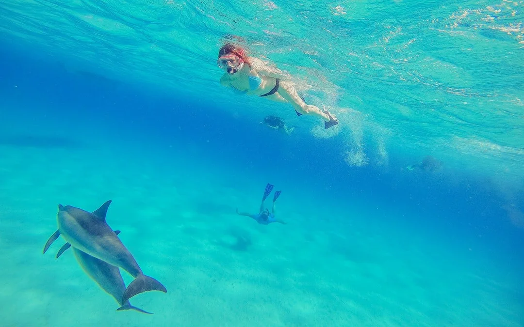 Dolphin House: VIP Cruise with Snorkeling, Buffet, Massage & Transfers Image 2