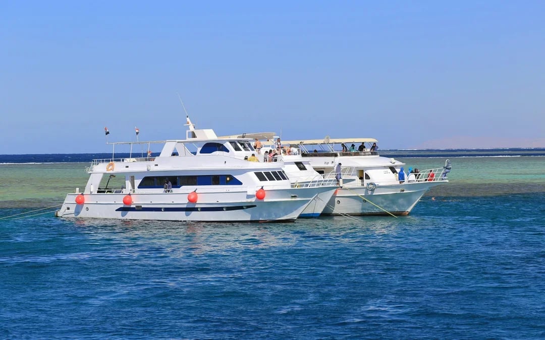 Dolphin House: VIP Cruise with Snorkeling, Buffet, Massage & Transfers Image 11