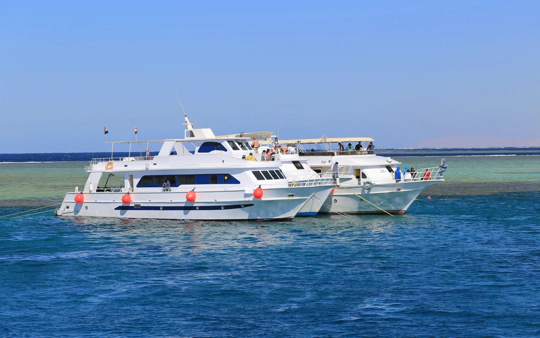 Dolphin House: VIP Cruise with Snorkeling, Buffet, Massage & Transfers Image 11