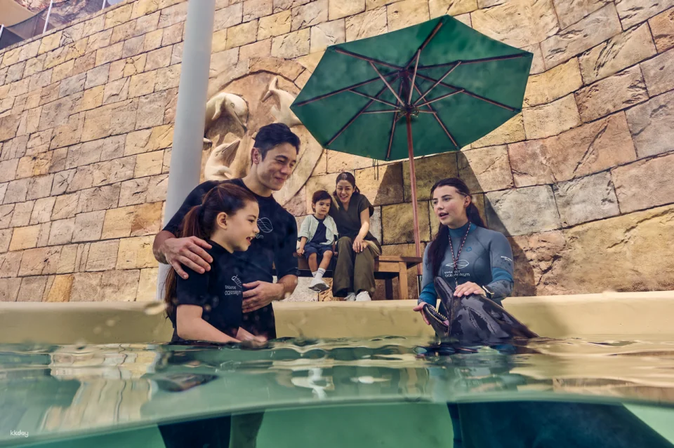 Dolphin Moments at Resorts World Sentosa: Meet Indo-Pacific Bottlenose Dolphins | Singapore