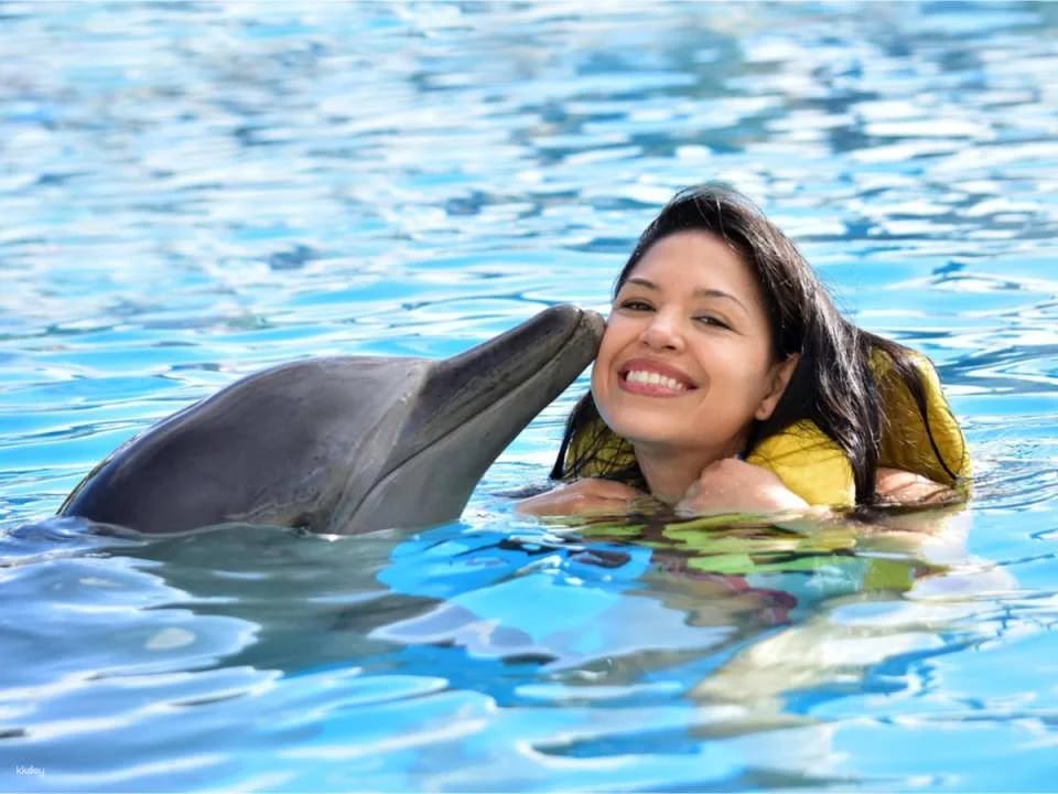 Dolphin Moments at Resorts World Sentosa: Meet Indo-Pacific Bottlenose Dolphins | Singapore