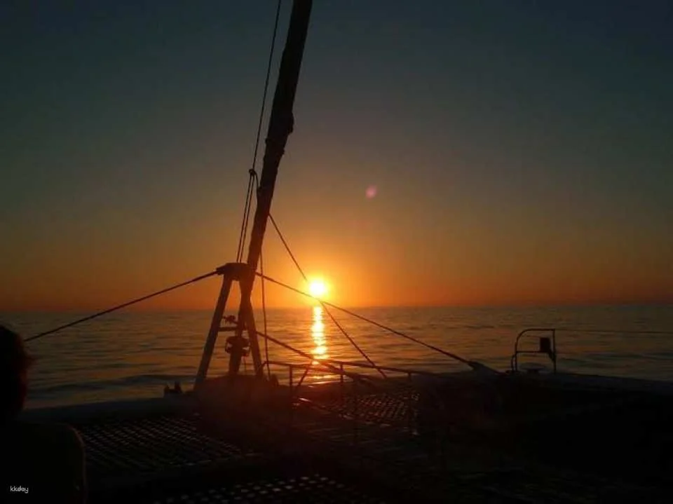 Dolphin watching cruise with transfer by Mayurca Yachting