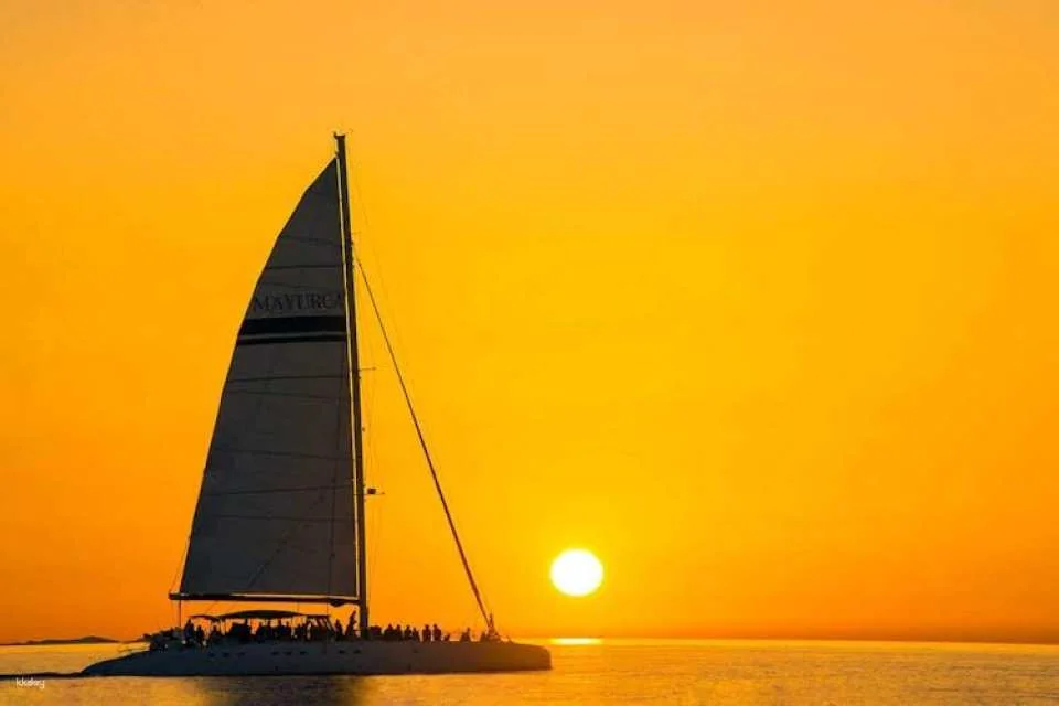 Dolphin watching cruise with transfer by Mayurca Yachting