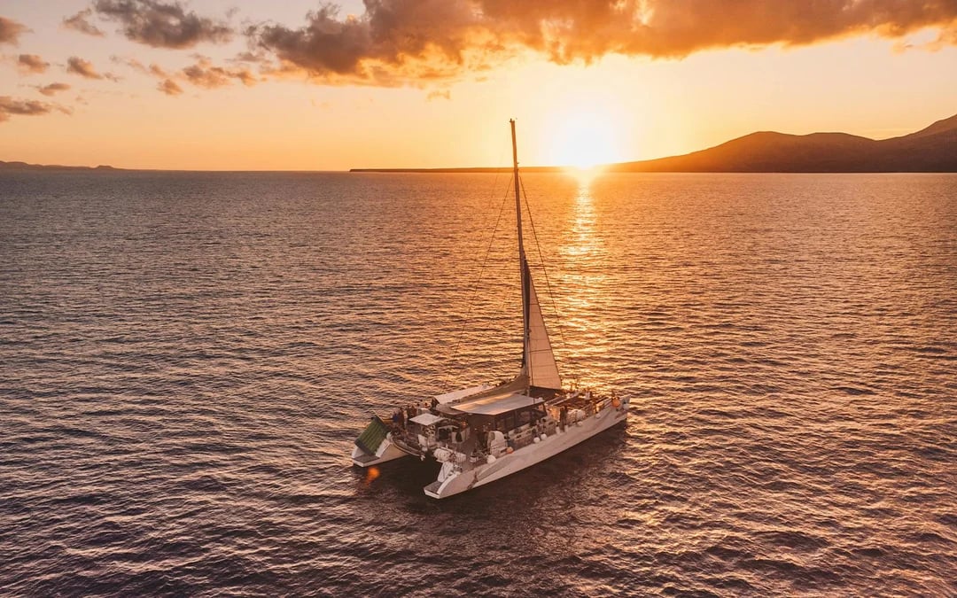 Dolphin Watching Sunset Sailing Cruise Image 1