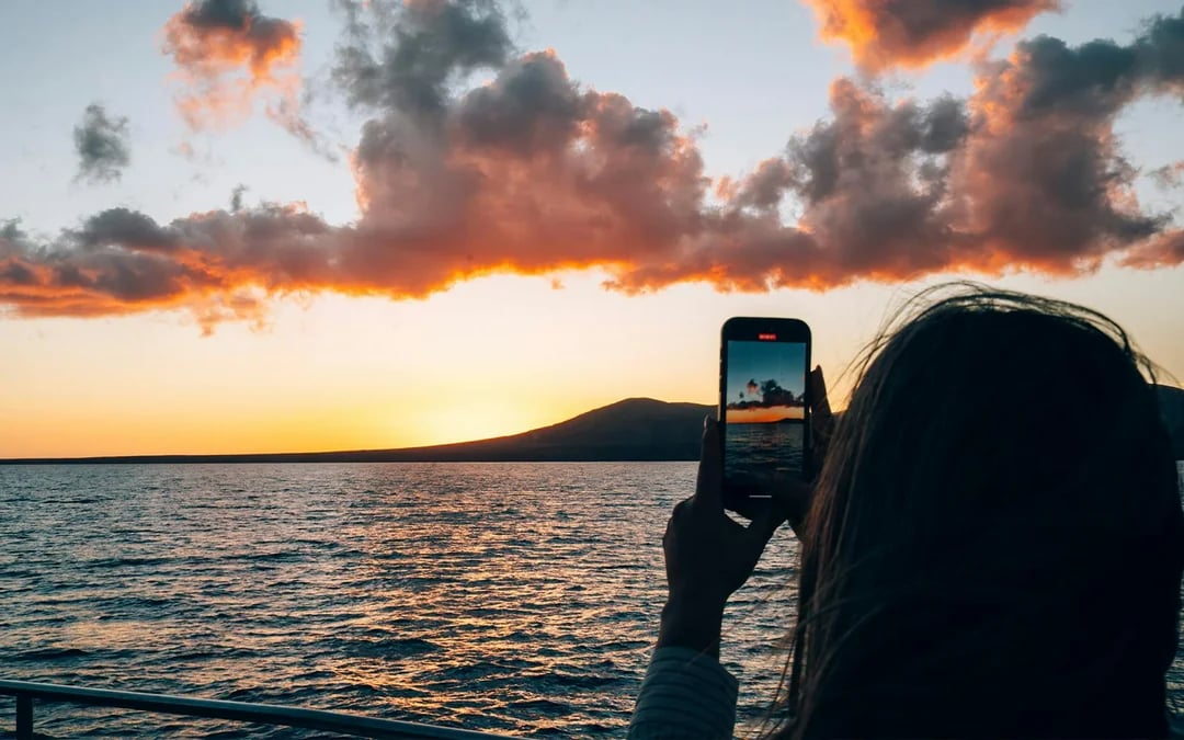 Dolphin Watching Sunset Sailing Cruise Image 3