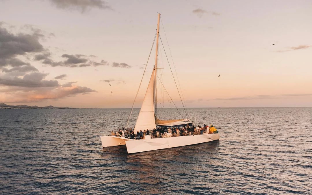 Dolphin Watching Sunset Sailing Cruise Image 6