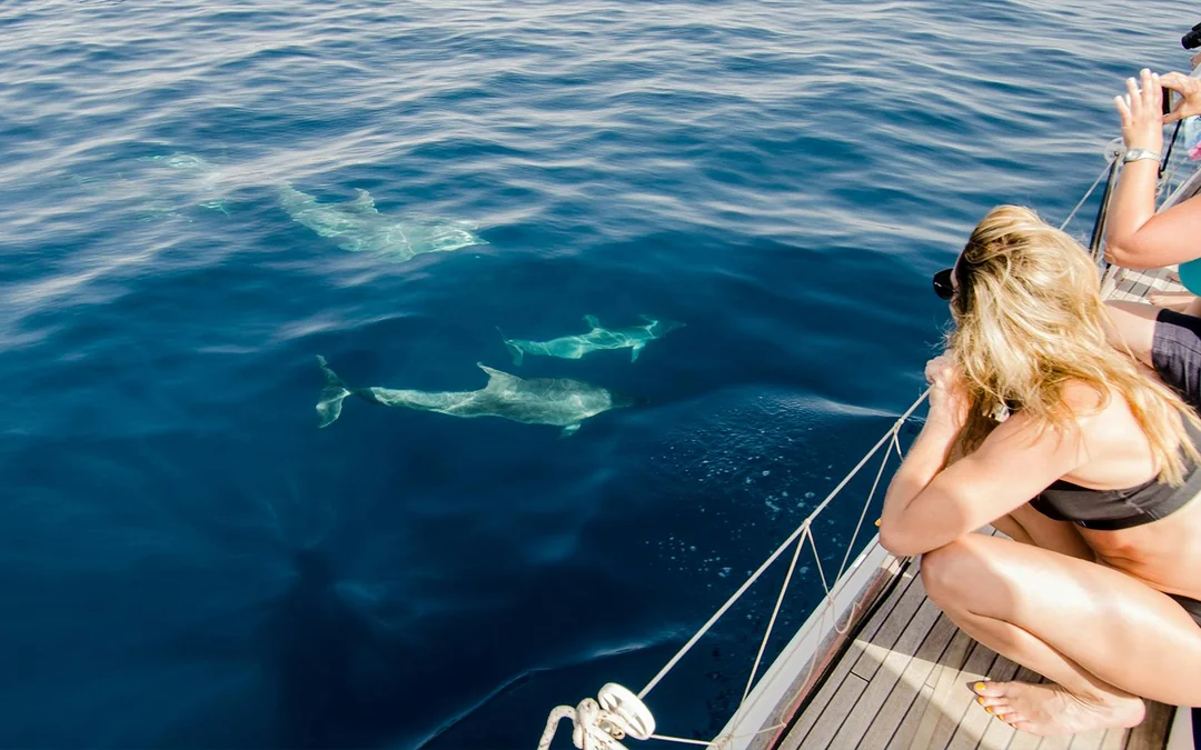 Dolphin Watching Tour at Sunset with Aperitif in Taormina Image 5