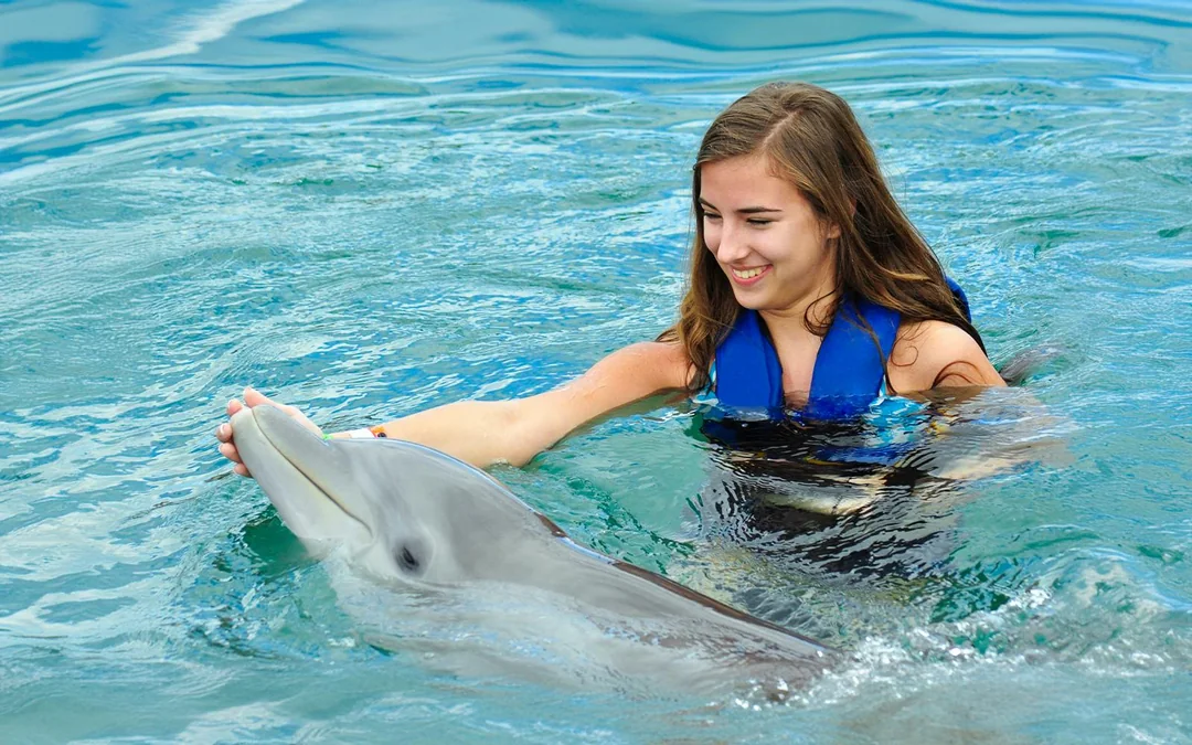 Dolphinarium Pattaya - Swim with Dolphins Experience Image 2