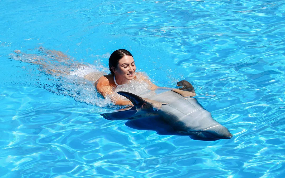 Dolphinarium Pattaya - Swim with Dolphins Experience Image 3