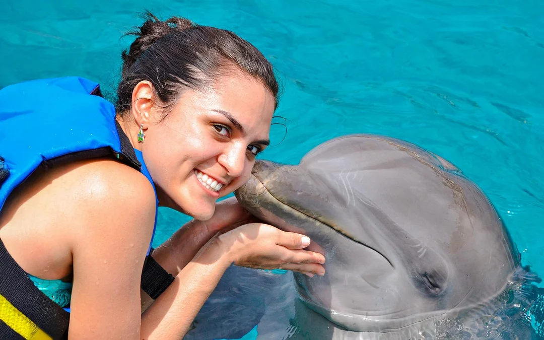 Dolphinarium Pattaya - Swim with Dolphins Experience Image 4
