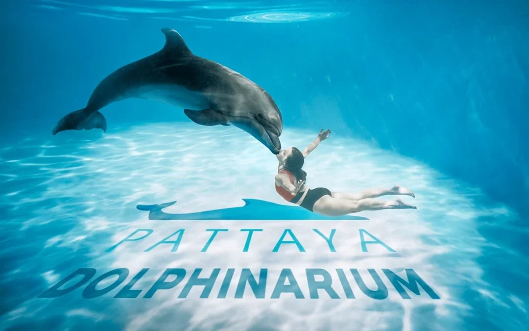 Dolphinarium Pattaya Tickets: Non-Thai Residents Image 2