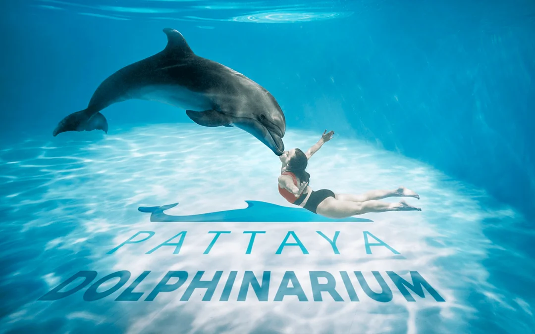 Dolphinarium Pattaya Tickets: Non-Thai Residents Image 2