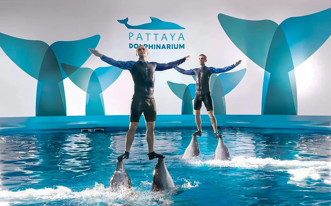 Dolphinarium Pattaya Tickets: Non-Thai Residents Image 3