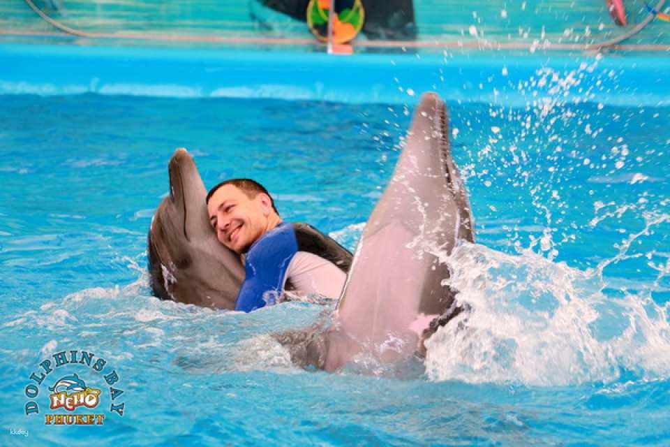 Dolphins Bay Phuket Ticket | Thailand