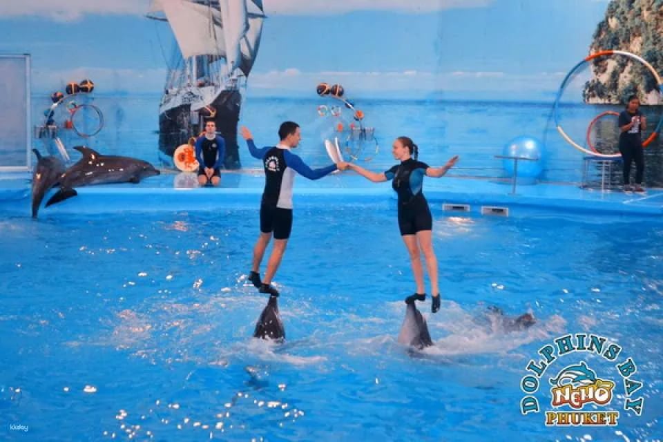 Dolphins Bay Phuket Ticket | Thailand
