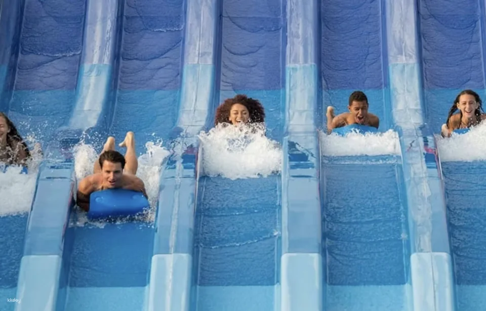 Dorney Park One Day Admission Ticket