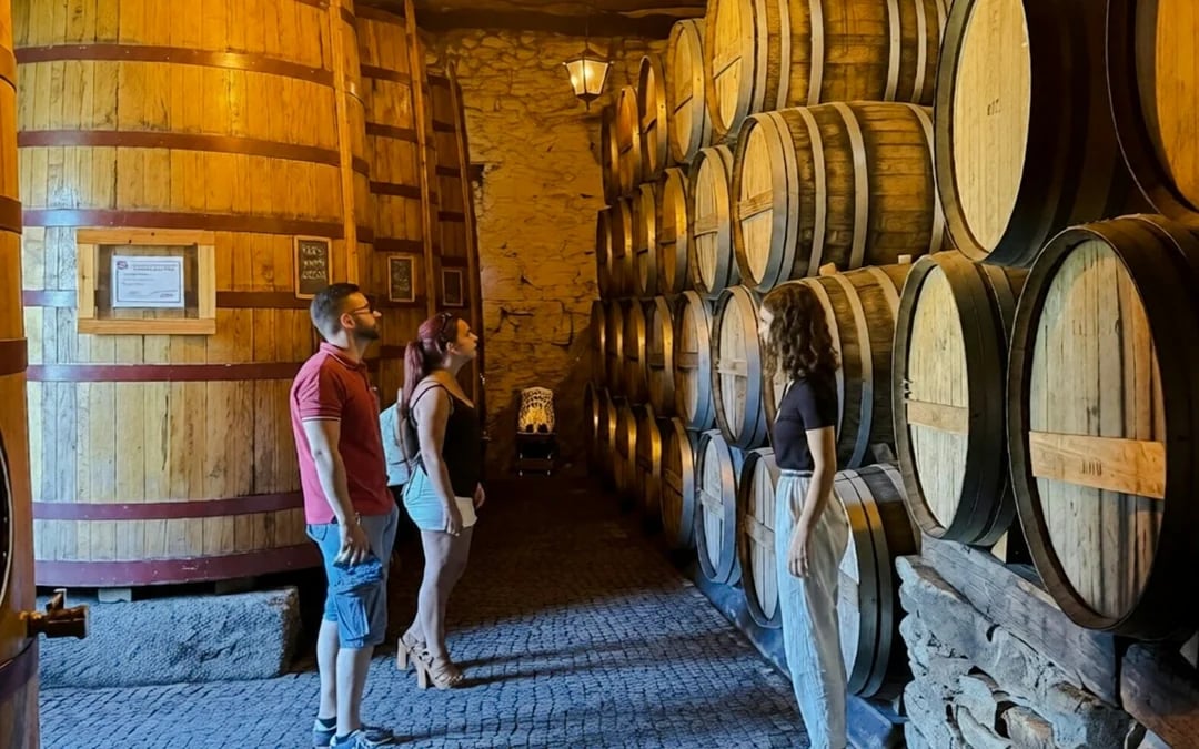 Douro Valley Off-Road 4x4 Wine Tour with Tastings and Lunch or Picnic Image 4