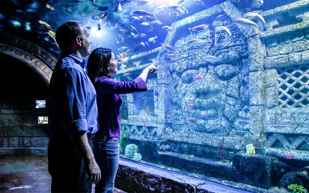 Downtown Aquarium Houston Ticket Image 2