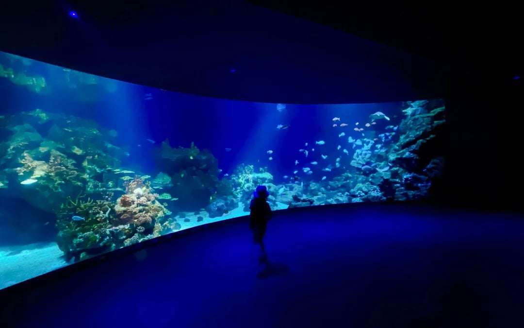 Downtown Aquarium Houston Ticket Image 9