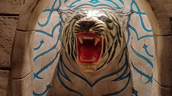 Downtown Aquarium experience image 3