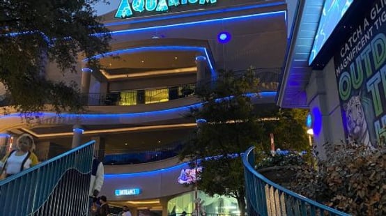 Downtown Aquarium