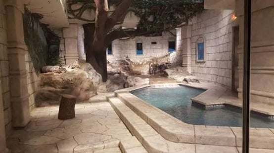 Downtown Aquarium