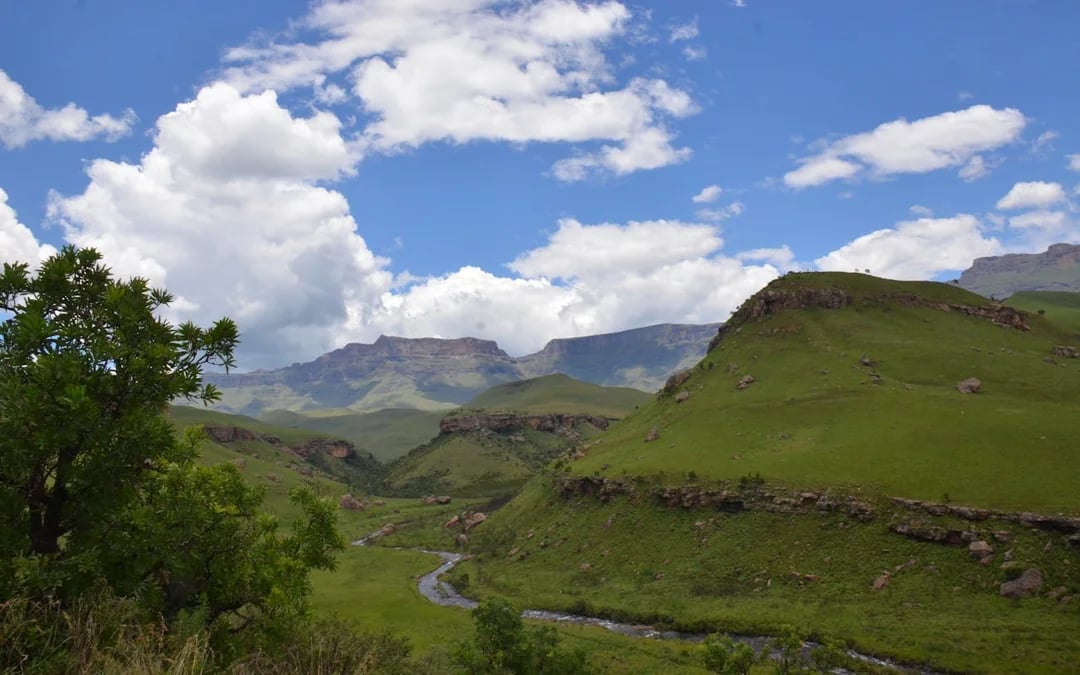 Drakensberg San Cave Art and Nelson Mandela Capture Site Guided Day Tour from Durban Image 1