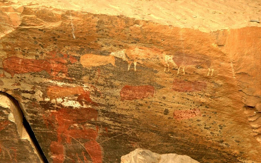 Drakensberg San Cave Art and Nelson Mandela Capture Site Guided Day Tour from Durban Image 7
