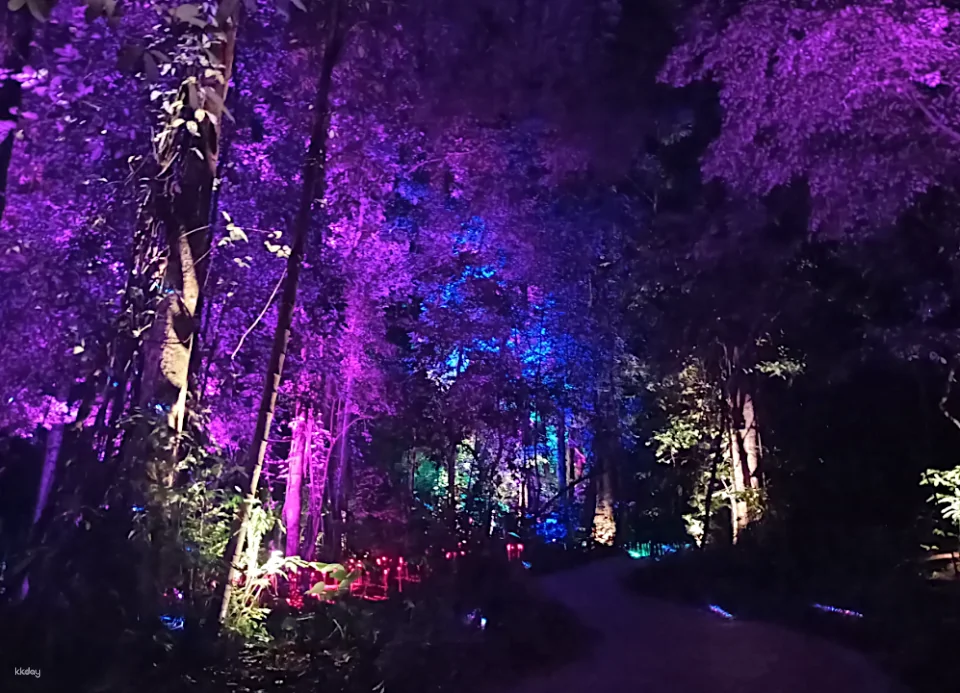 Dream Forest Langkawi Ticket l Malaysia