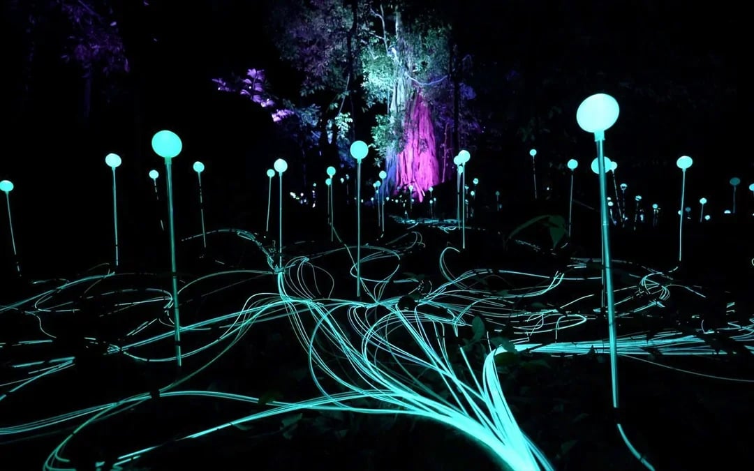 Dream Forest Langkawi Tickets Image 1