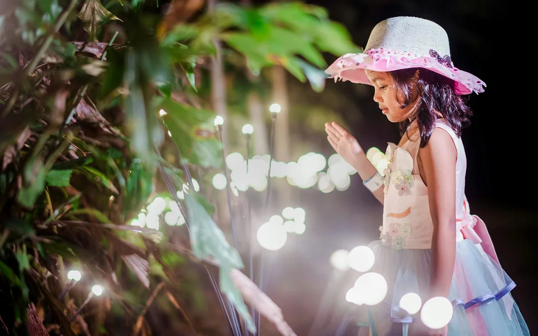 Dream Forest Langkawi Tickets Image 5