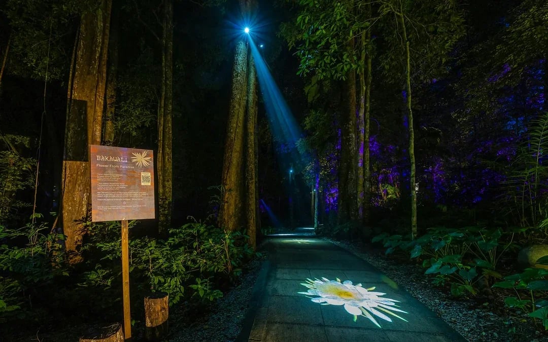 Dream Forest Langkawi Tickets Image 10
