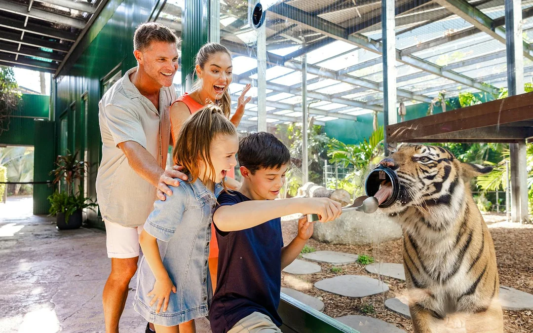 DreamWorld Gold Coast Tickets Image 3