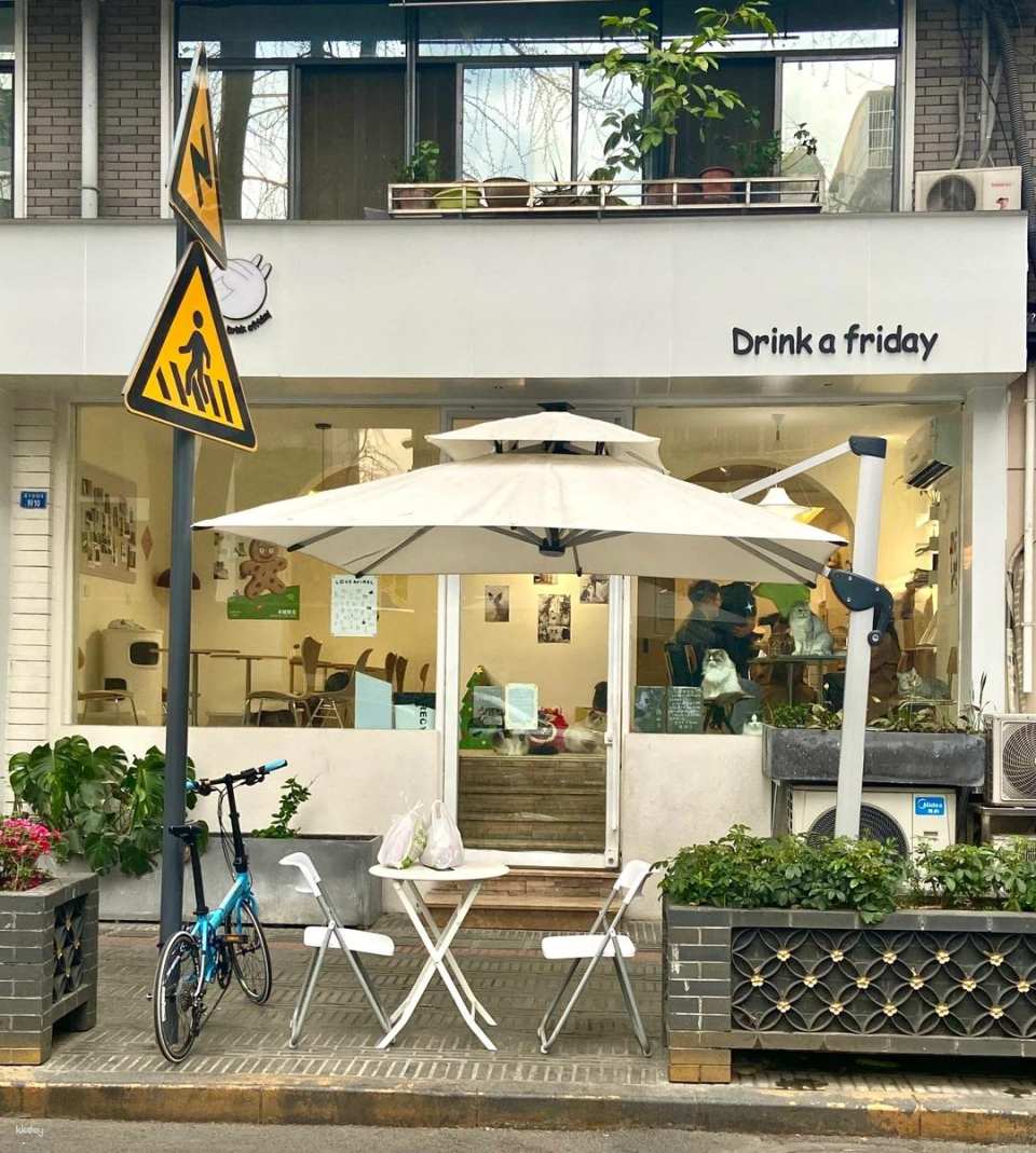 Drink A Friday Cat Cafe in Chengdu | A popular cat cafe in Kuanzhai Alley