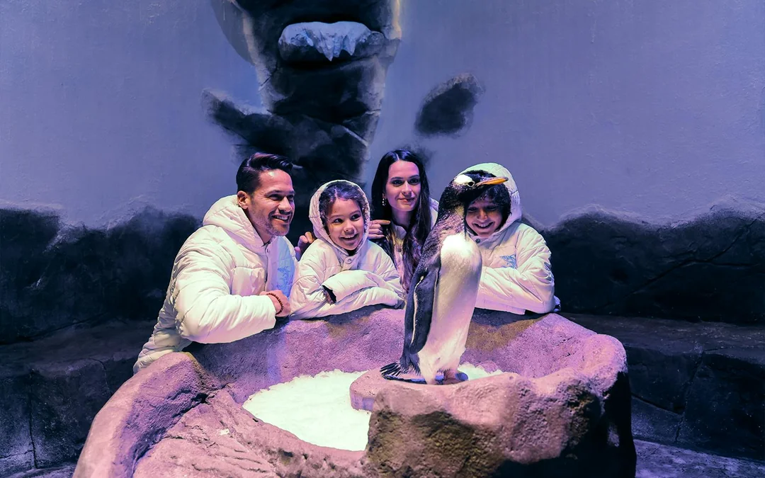 Dubai Aquarium & Underwater Zoo with Penguin Cove Tickets Image 3