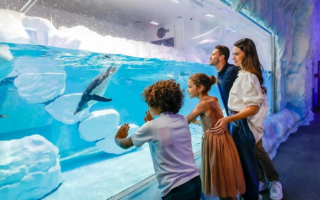 Dubai Aquarium & Underwater Zoo with Penguin Cove Tickets Image 7