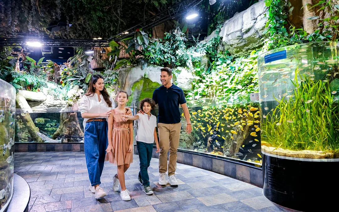 Dubai Aquarium & Underwater Zoo with Ultimate Experience Gold Pass Image 2