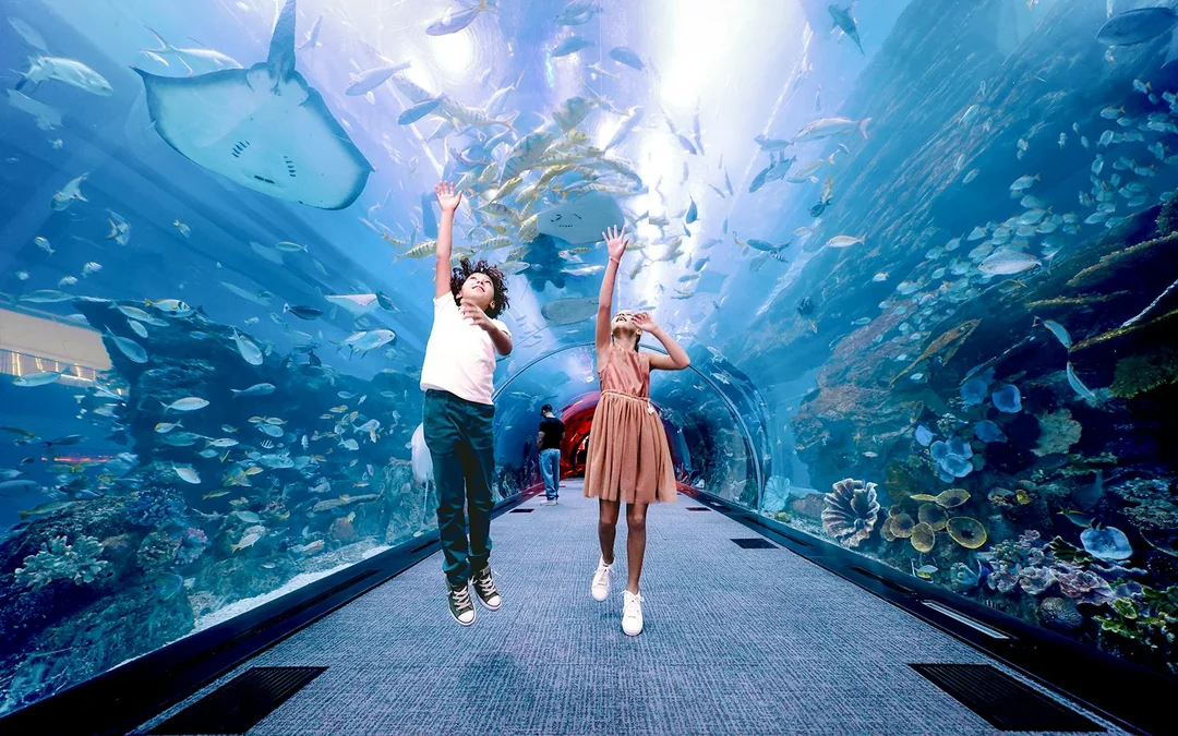 Dubai Aquarium & Underwater Zoo with Ultimate Experience Gold Pass Image 3